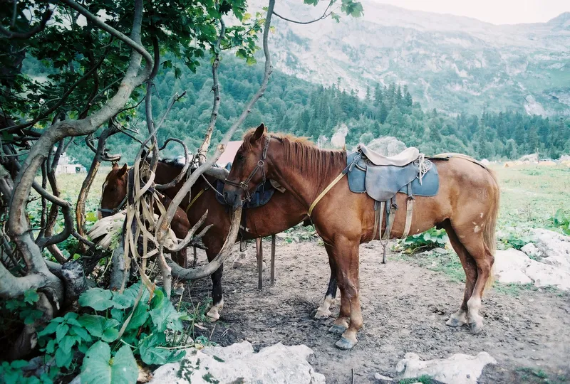 Huntsman hut and climbing camp near Mount Fisht
